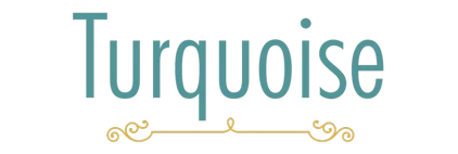 turwuoise Logo